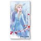 Πετσέτα Θαλάσσης Quick Dry Disney Home Frozen 10 70X140 Ice Blue 100% Microfiber